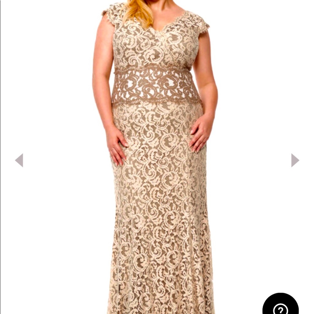 Tadashi Shoji Gown ! Beautiful designer dress